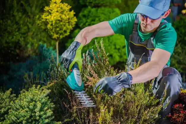 landscaping services Red Chute
